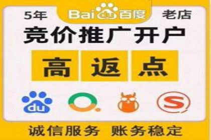 从小白到高手：百度竞价赚钱全记录